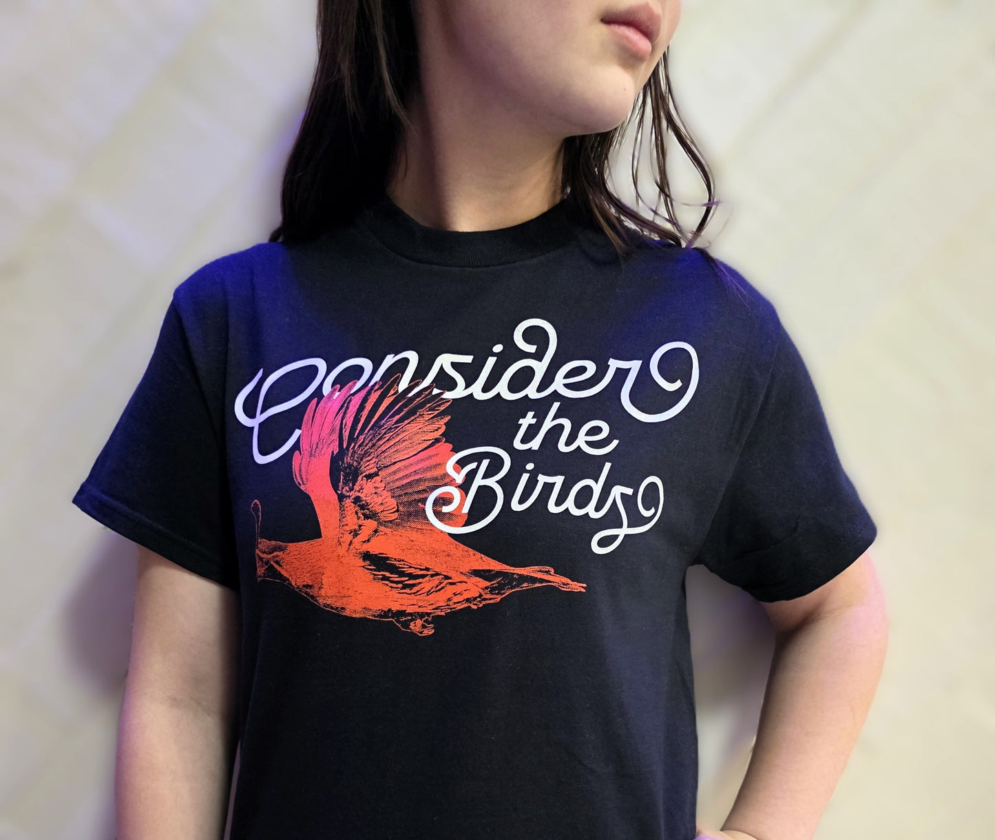 Song of the Gambel Tee – Consider the Birds Limited Series