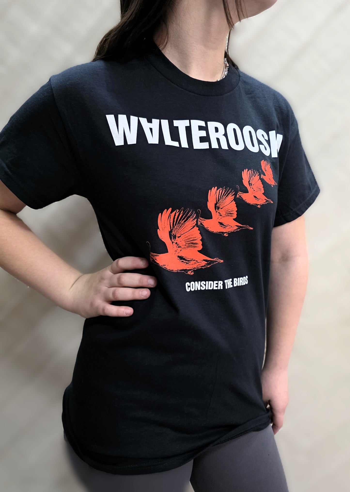 WALTEROOSKI Flock Tee – Consider the Birds Limited Series